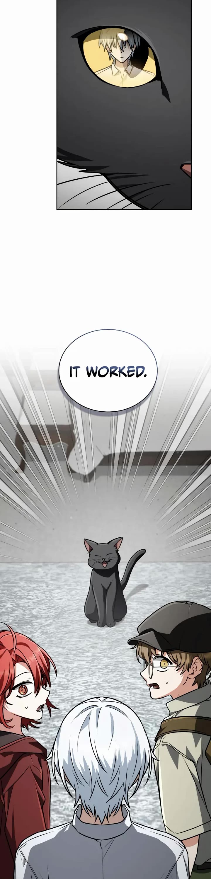 Genius Prismatic Mage chapter 63 page 47