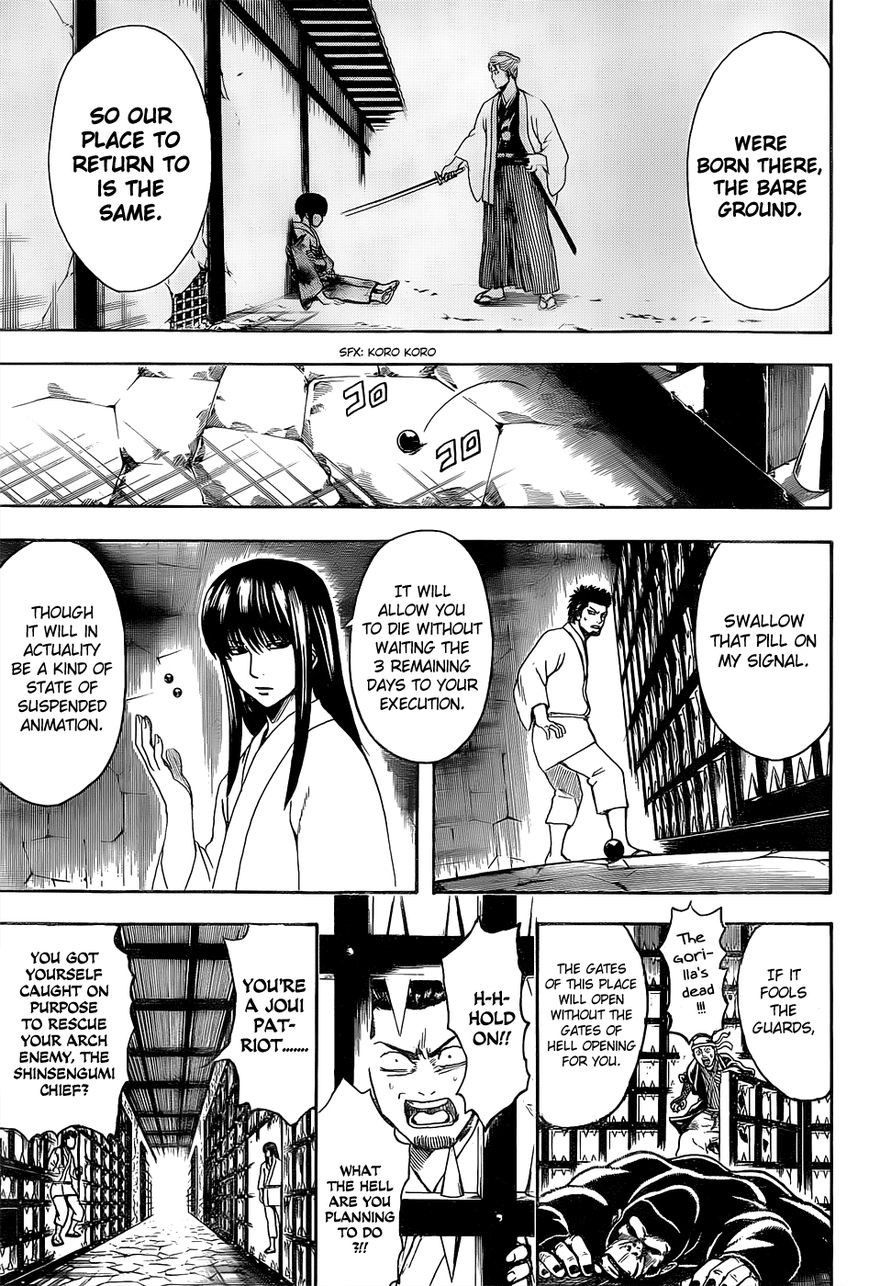 Gintama chapter 529 page 6