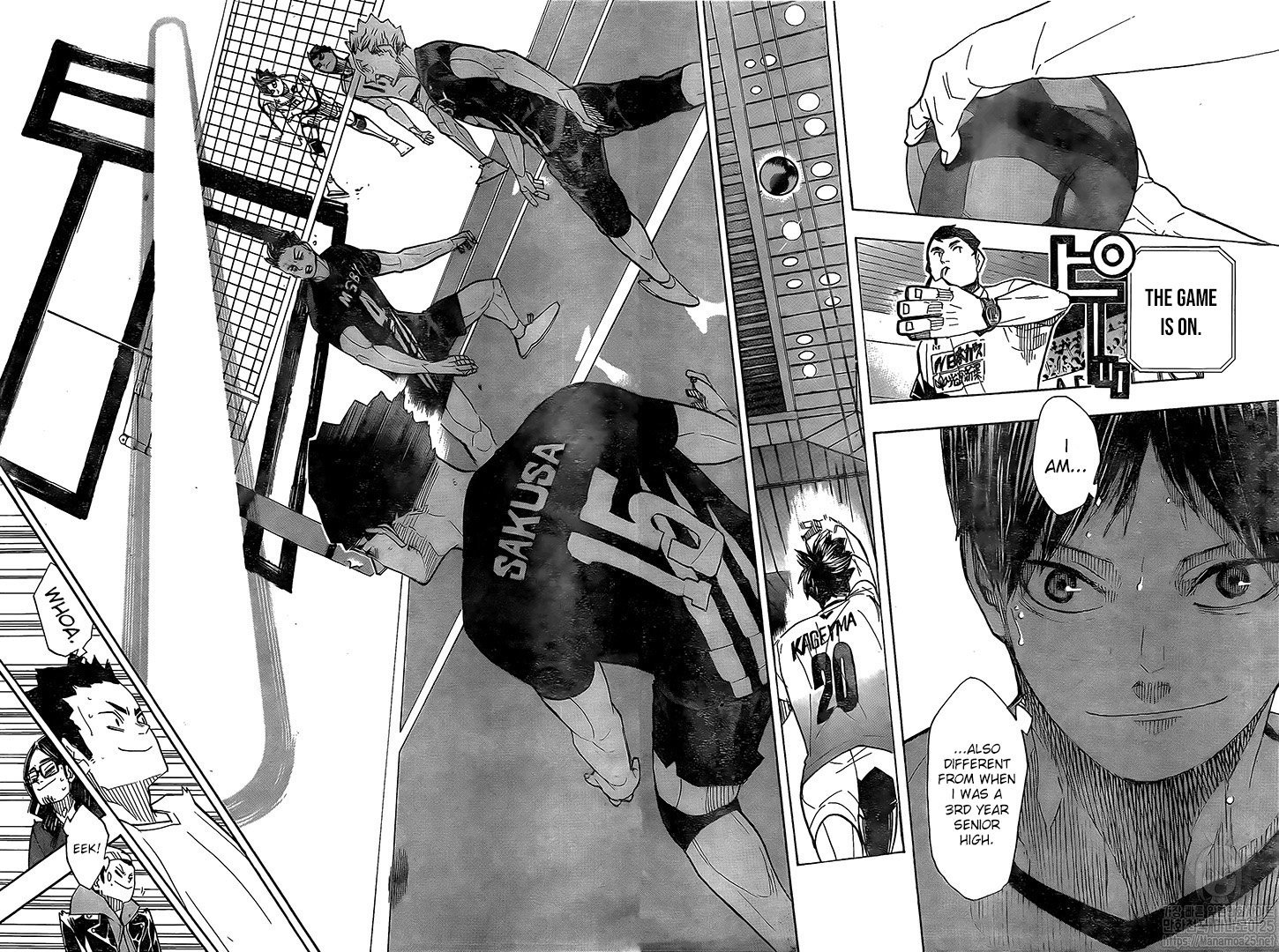 Haikyuu!! chapter 380 page 8