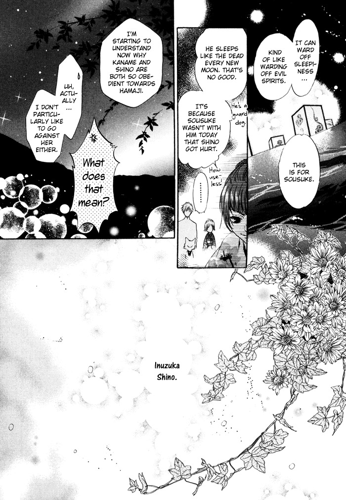 Hakkenden chapter 9 page 46