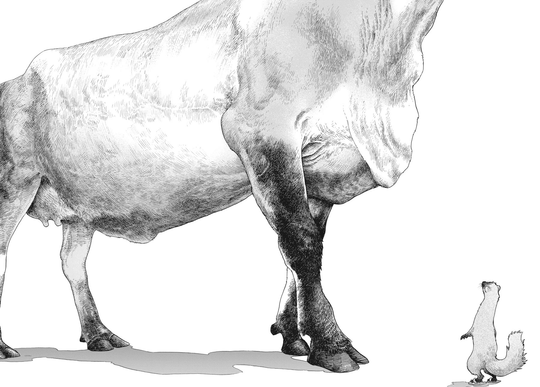 Hakumei to Mikochi chapter 108 page 14