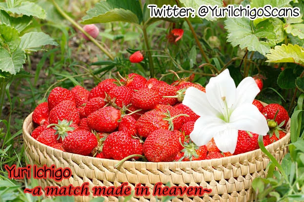 Hino-san no Baka chapter 61 page 13