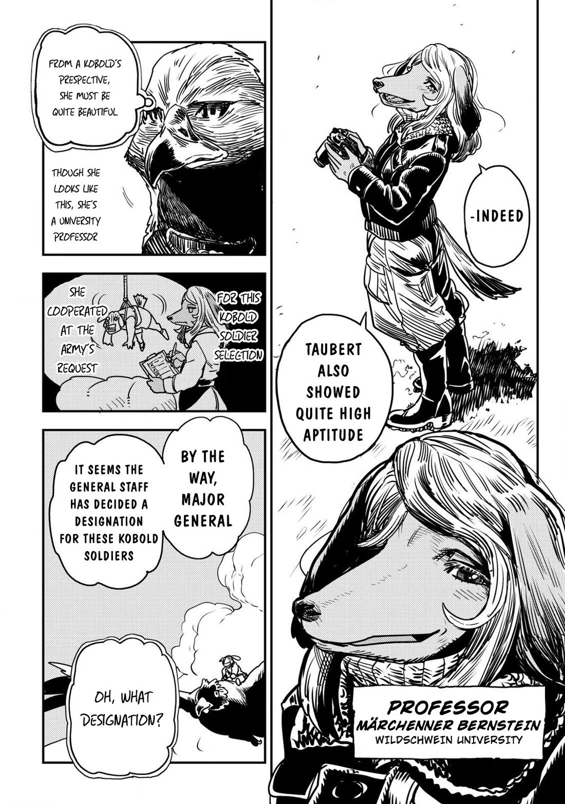 History of the Kingdom of the Orcsen: How the Barbarian Orcish Nation Came to Burn Down the Peaceful Elfland chapter 10 page 27