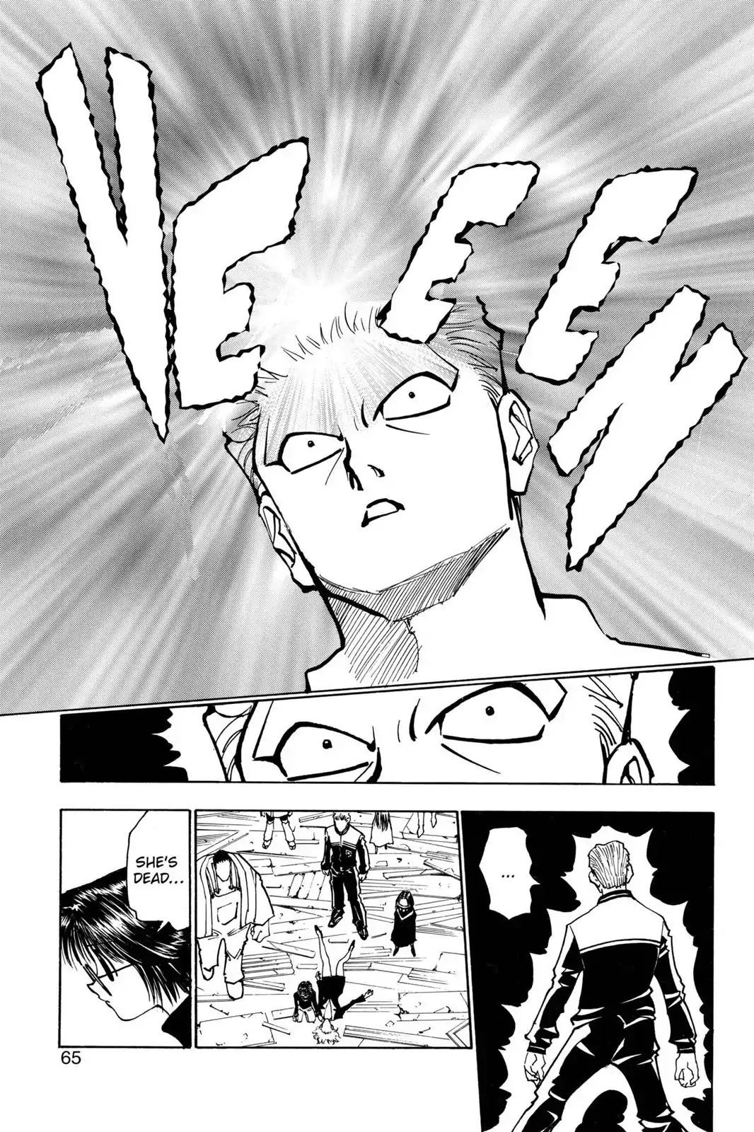 Hunter X Hunter chapter 119 page 13