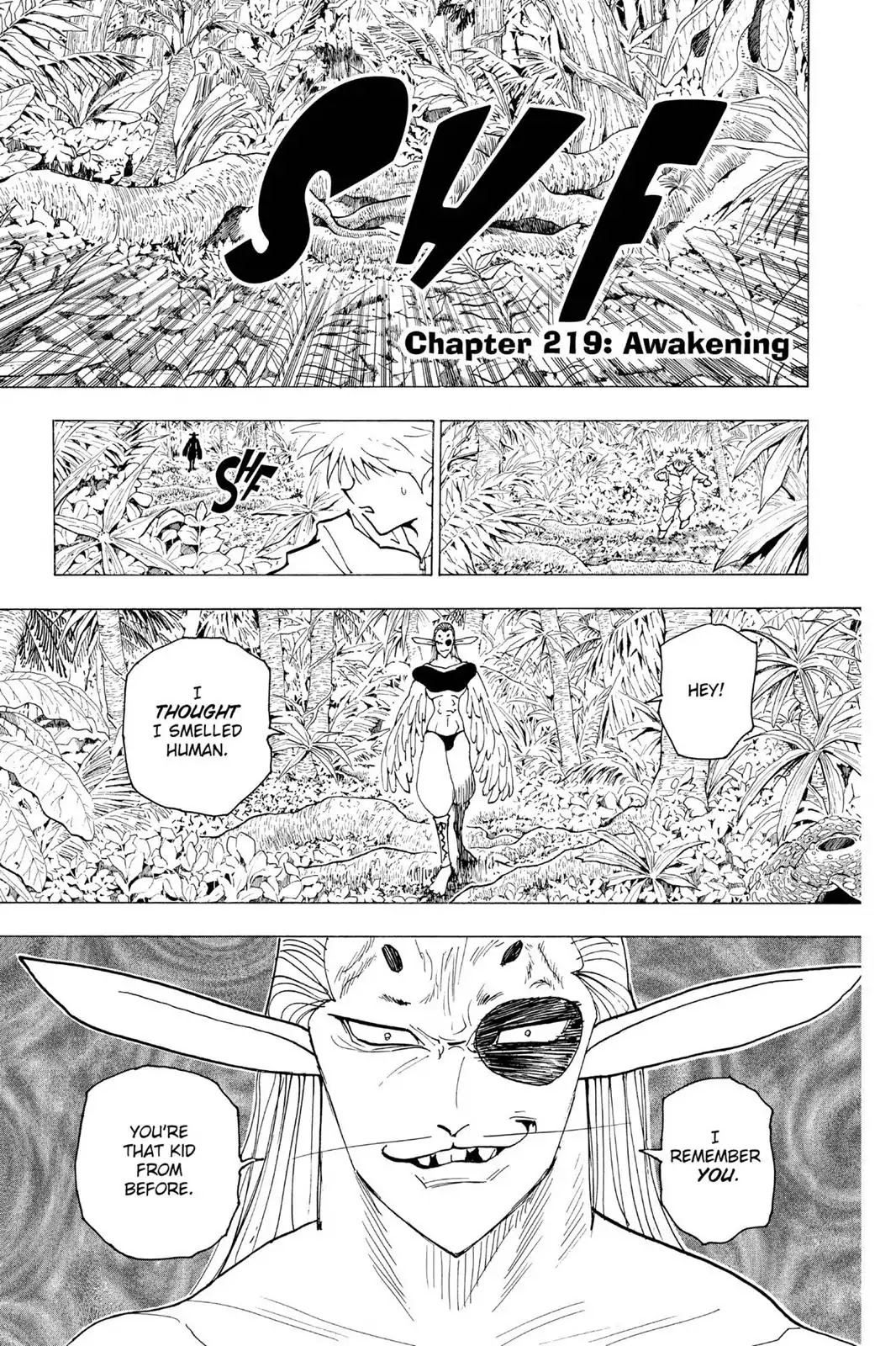 Hunter X Hunter chapter 219 page 1