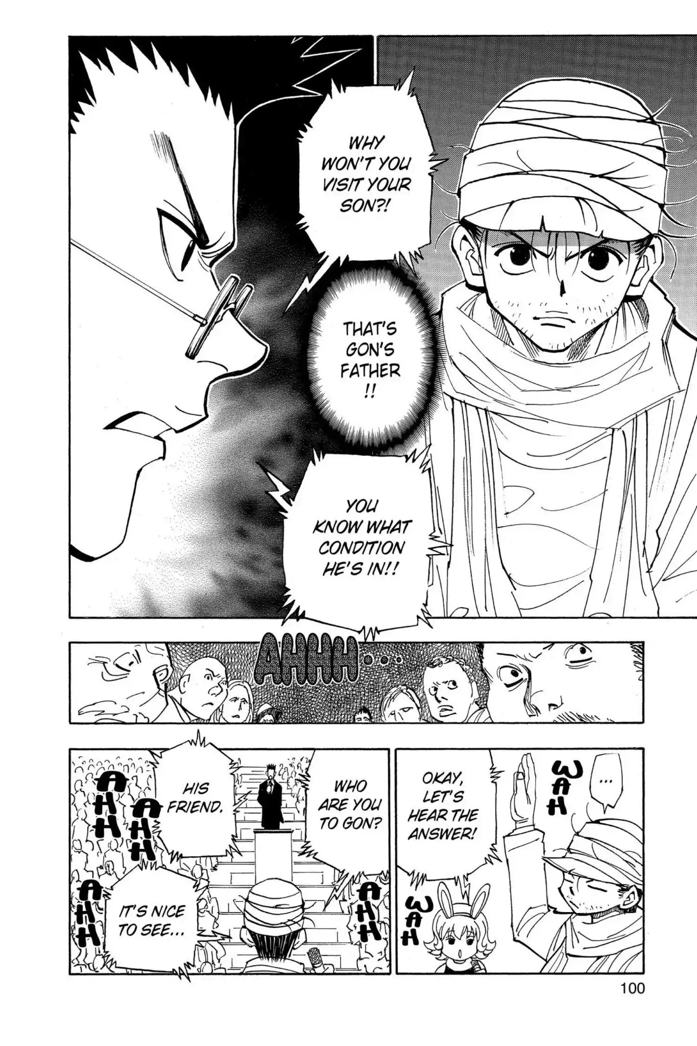 Hunter X Hunter chapter 325 page 13