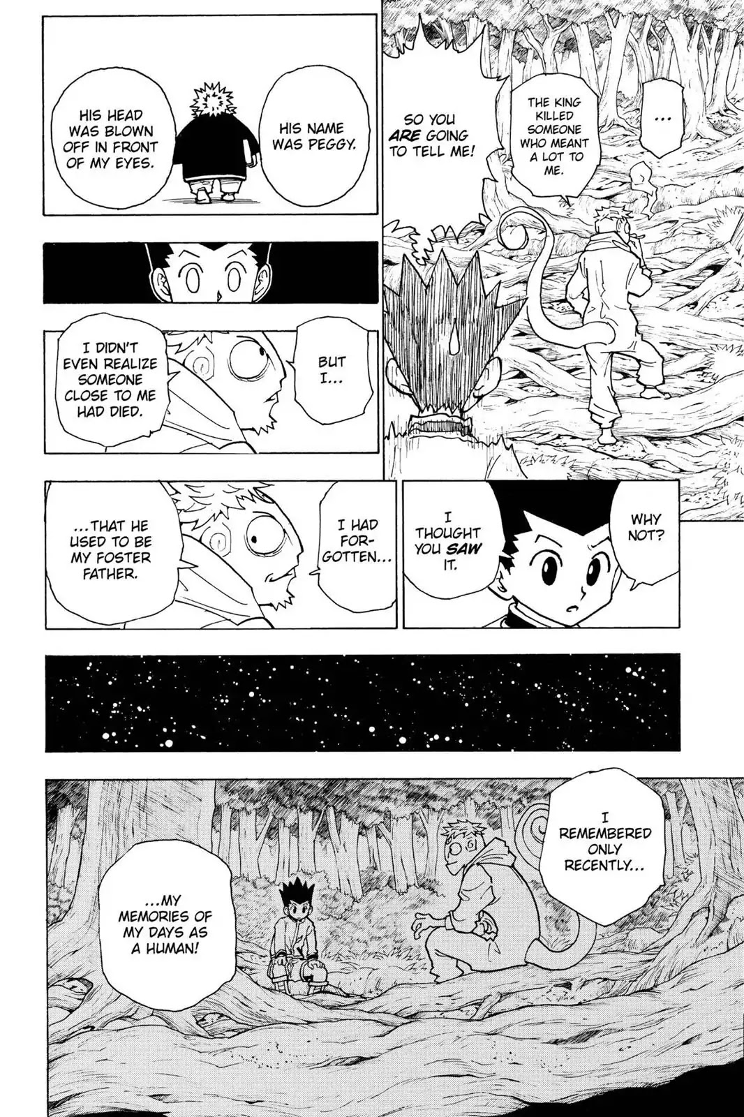 Hunter X Hunter chapter 242 page 12