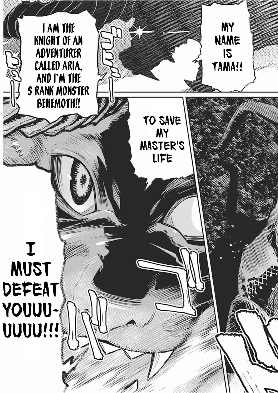 I Am Behemoth Of The S Rank Monster But I Am Mistaken As A Cat And I Live As A Pet Of Elf Girl chapter 15 page 14