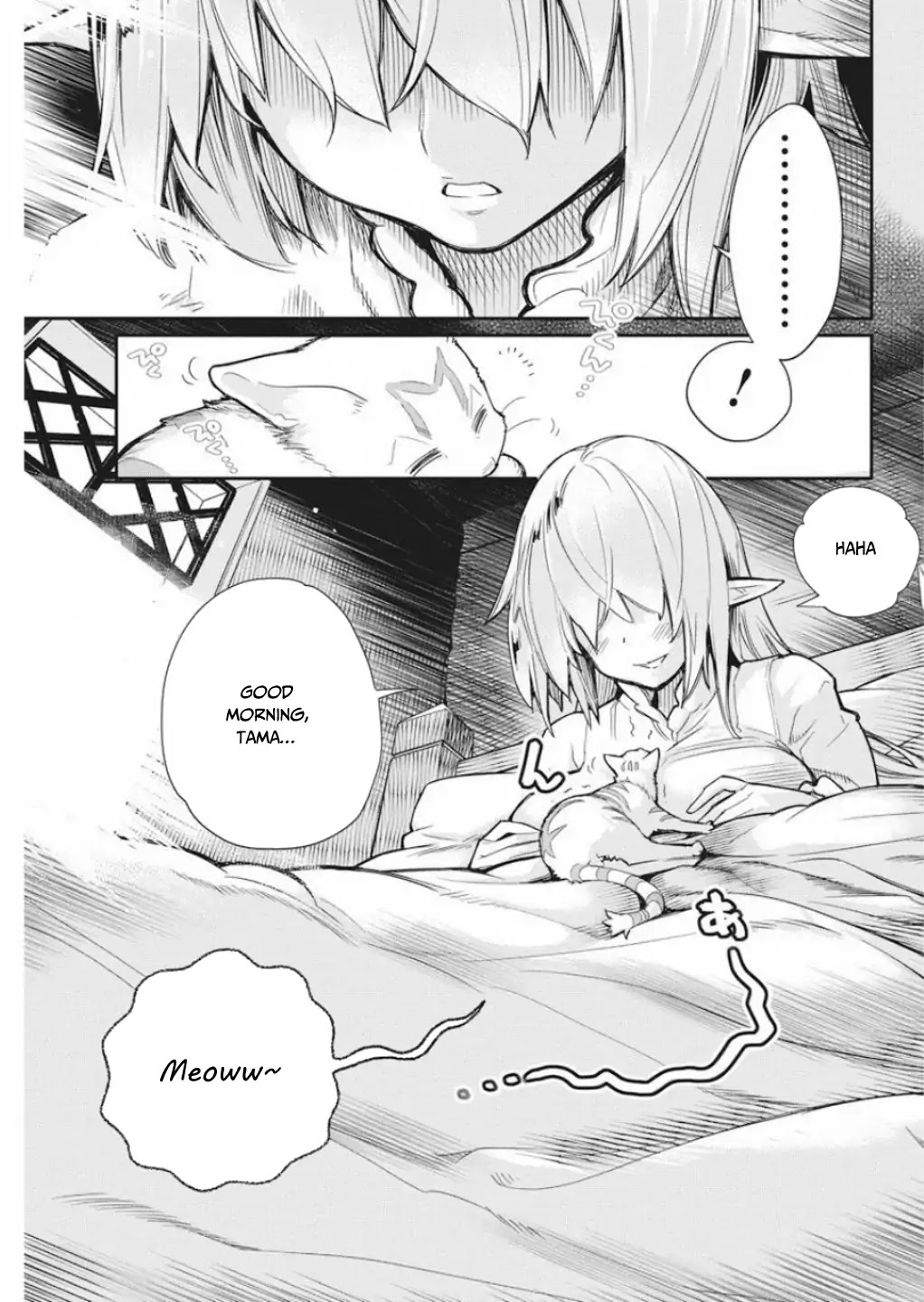 I Am Behemoth Of The S Rank Monster But I Am Mistaken As A Cat And I Live As A Pet Of Elf Girl chapter 16 page 8
