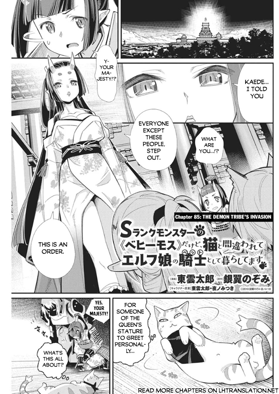 I Am Behemoth Of The S Rank Monster But I Am Mistaken As A Cat And I Live As A Pet Of Elf Girl chapter 85 page 2