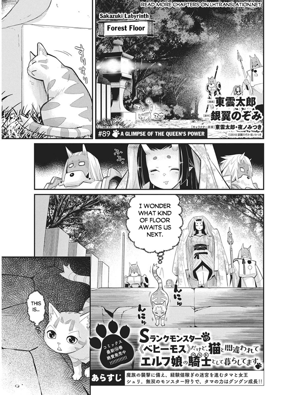I Am Behemoth Of The S Rank Monster But I Am Mistaken As A Cat And I Live As A Pet Of Elf Girl chapter 89 page 2