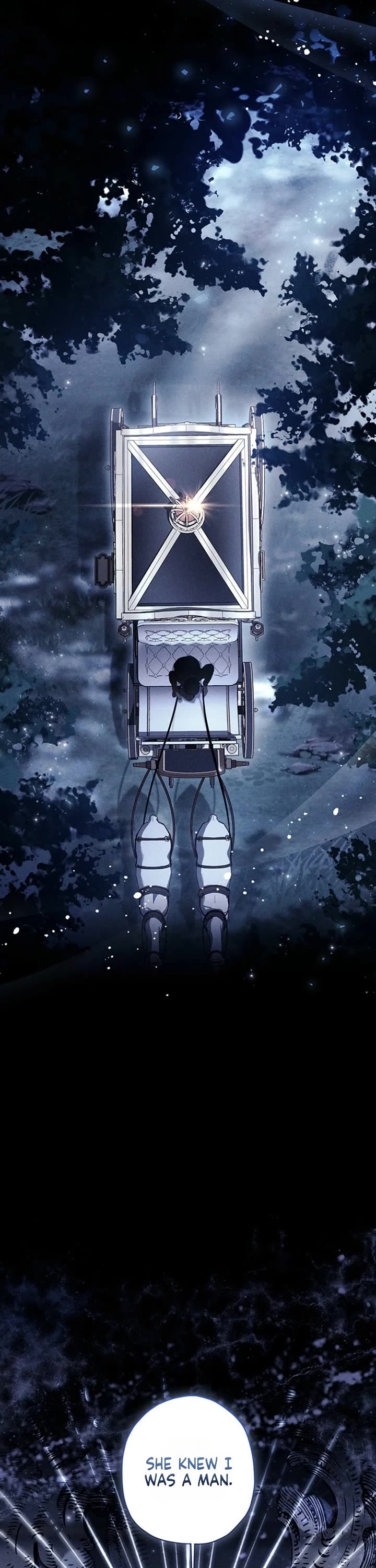 I became the Male Lead’s Adopted Daughter chapter 159 page 3