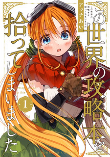 Cover of I Picked Up This World's Strategy Guide!