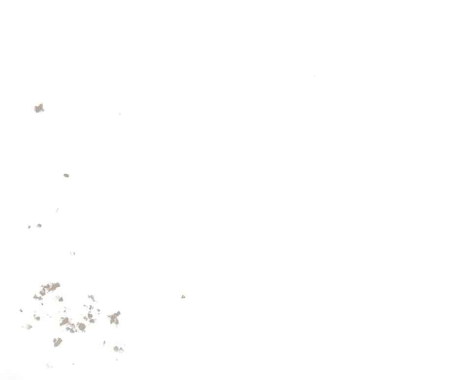 I Tamed My Ex-Husband's Mad Dog chapter 3 page 38