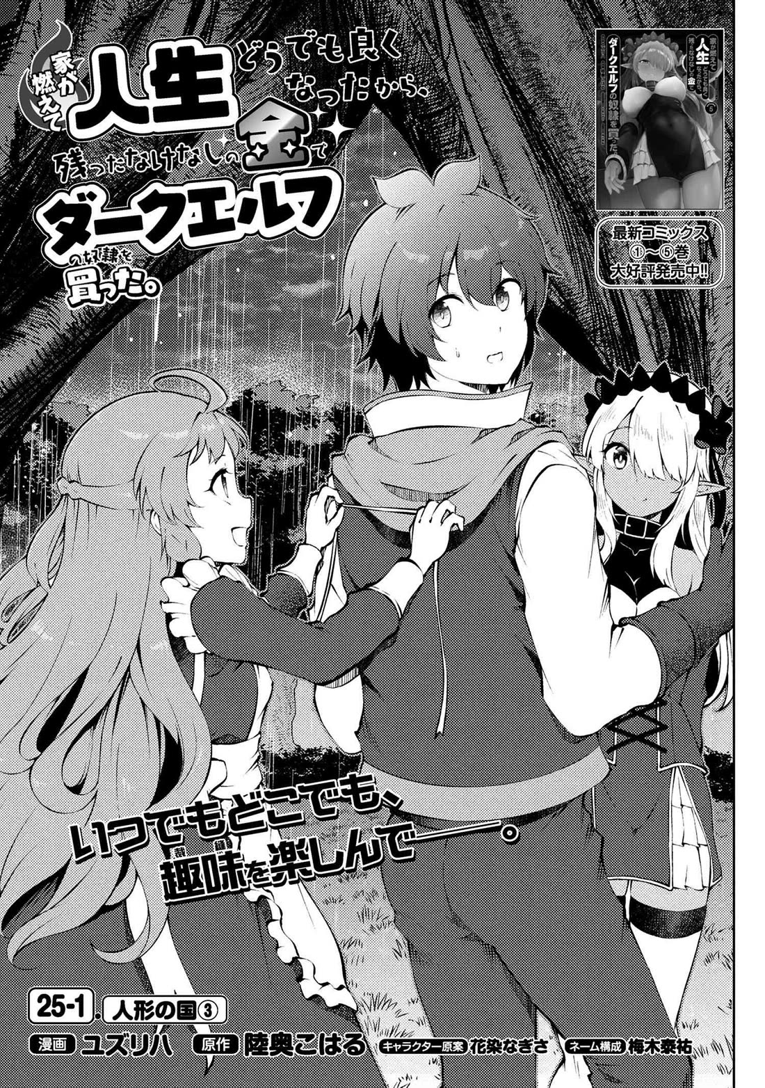 Ie ga Moete Jinsei Dou Demo Yoku Natta kara, Nokotta Nakenashi no Kin de Dark Elf no Dorei o Katta chapter 25 page 2