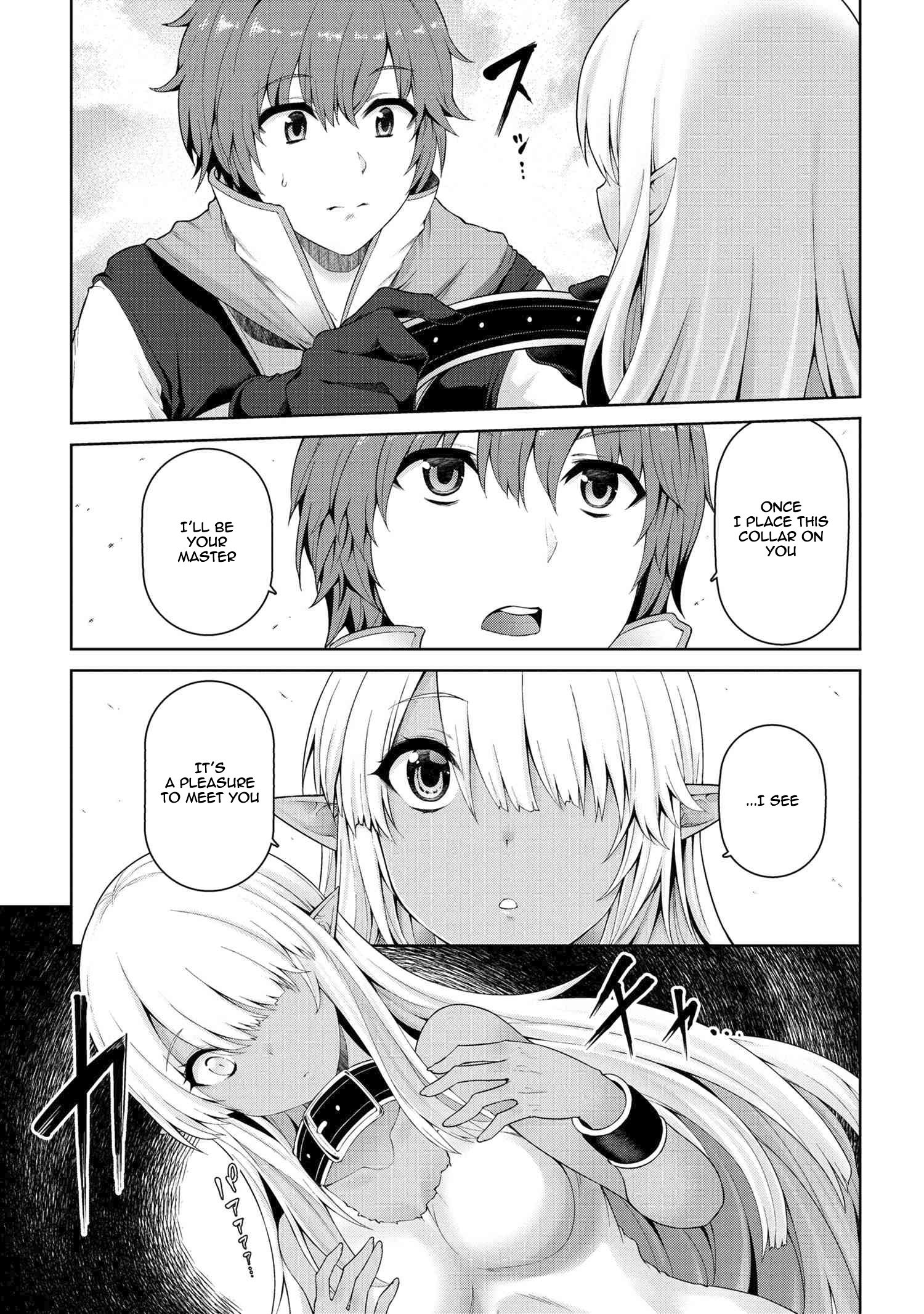 Ie ga Moete Jinsei Dou Demo Yoku Natta kara, Nokotta Nakenashi no Kin de Dark Elf no Dorei o Katta chapter 1 page 31