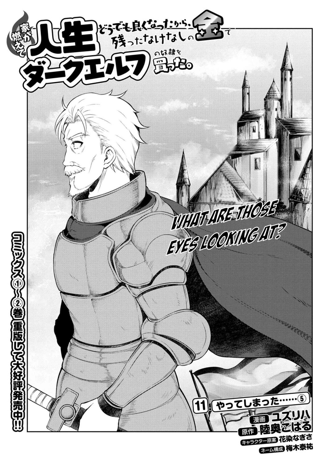 Ie ga Moete Jinsei Dou Demo Yoku Natta kara, Nokotta Nakenashi no Kin de Dark Elf no Dorei o Katta chapter 11.5 page 2