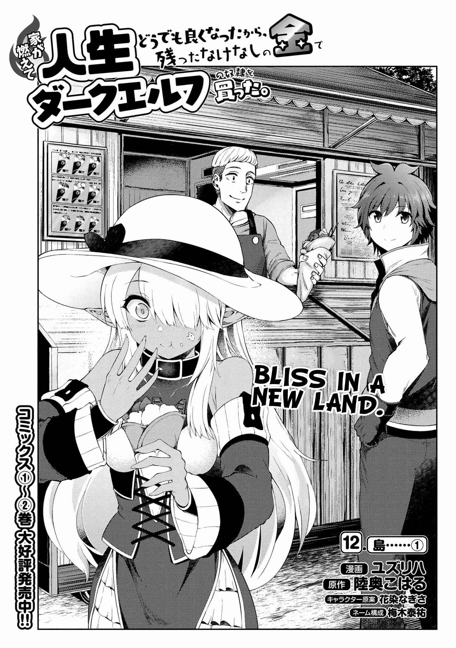 Ie ga Moete Jinsei Dou Demo Yoku Natta kara, Nokotta Nakenashi no Kin de Dark Elf no Dorei o Katta chapter 12.1 page 2