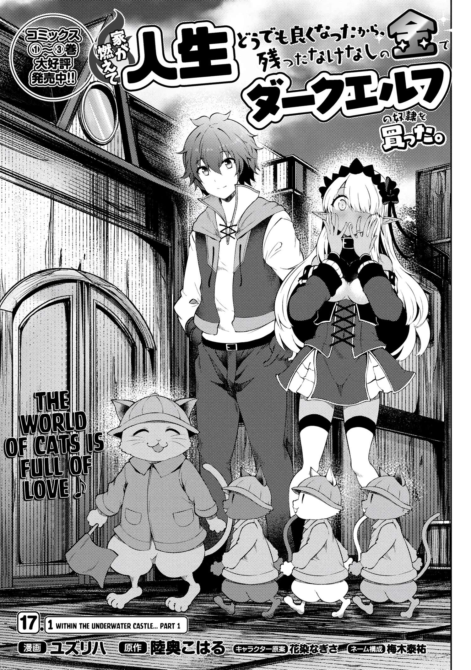 Ie ga Moete Jinsei Dou Demo Yoku Natta kara, Nokotta Nakenashi no Kin de Dark Elf no Dorei o Katta chapter 17.1 page 2