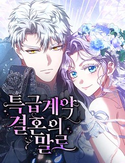 Cover of In the Name of Special Contract Marriage