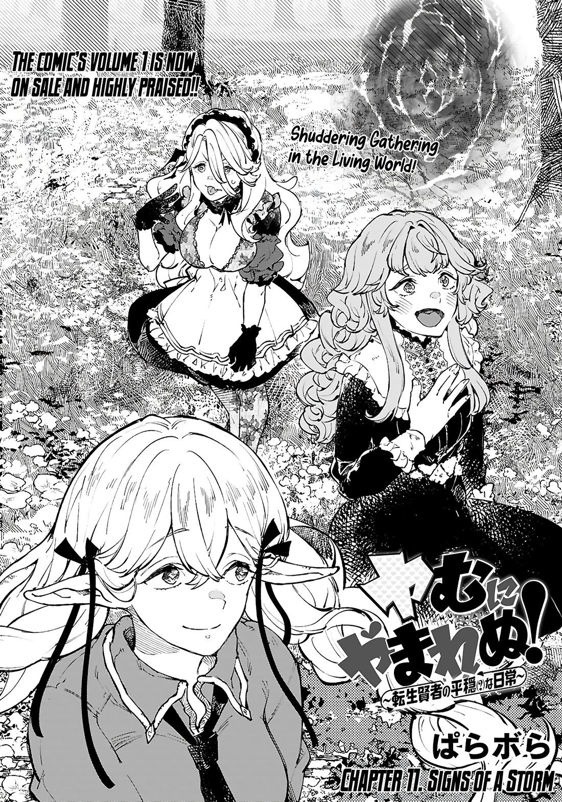 Irresistible! The Ordinary(?) Daily Life of a Reincarnated Sage chapter 11 page 2