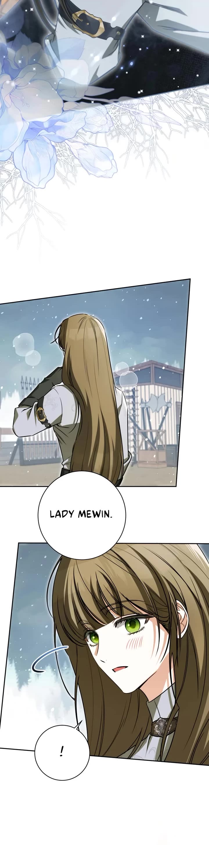 It Seems I've Transmigrated Somewhere chapter 100 page 25