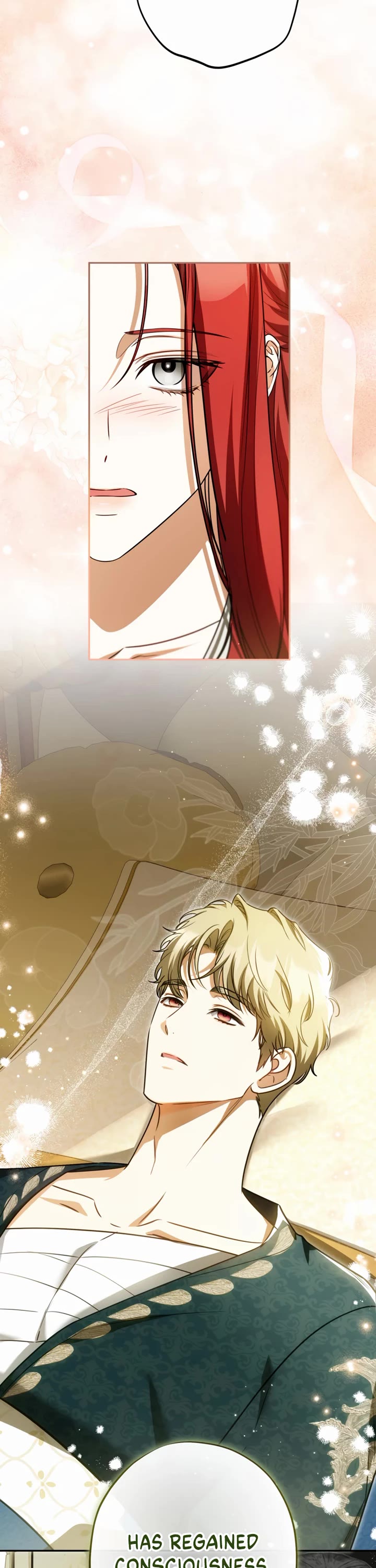 It Seems I've Transmigrated Somewhere chapter 99 page 17