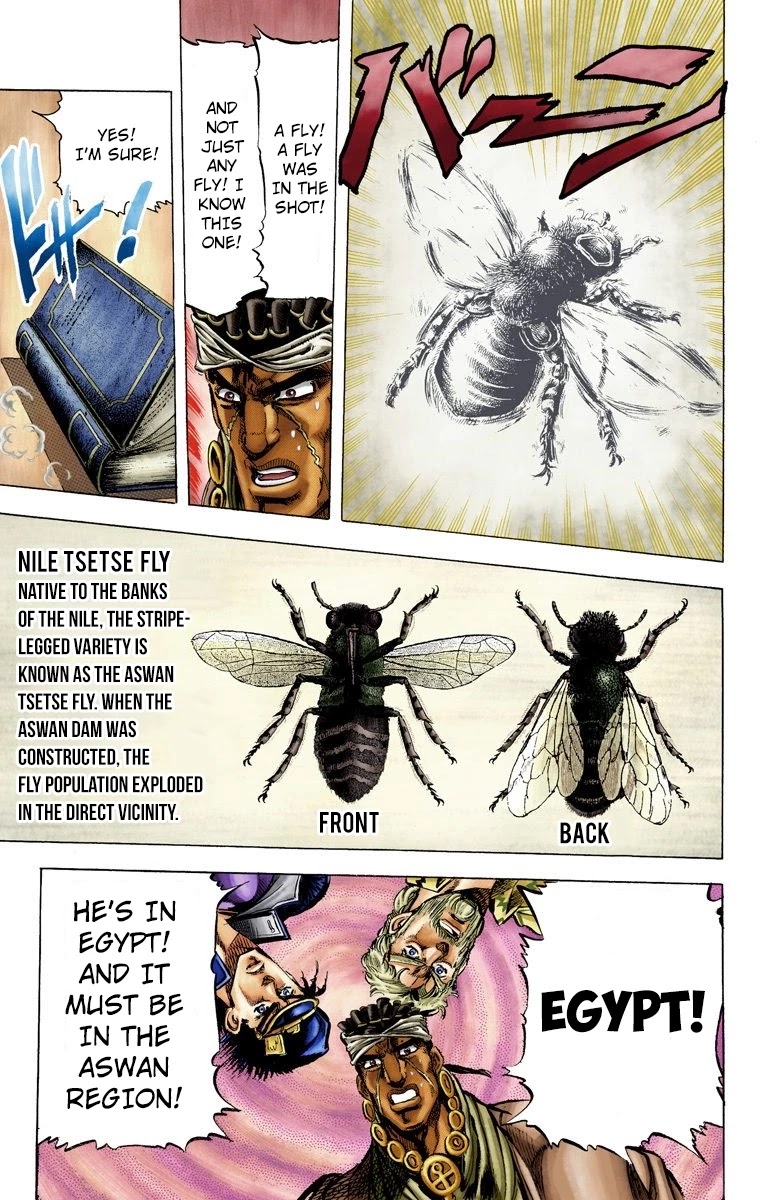 JoJo's Bizarre Adventure Part 3 - Stardust Crusaders (Official Colored) chapter 8 page 17