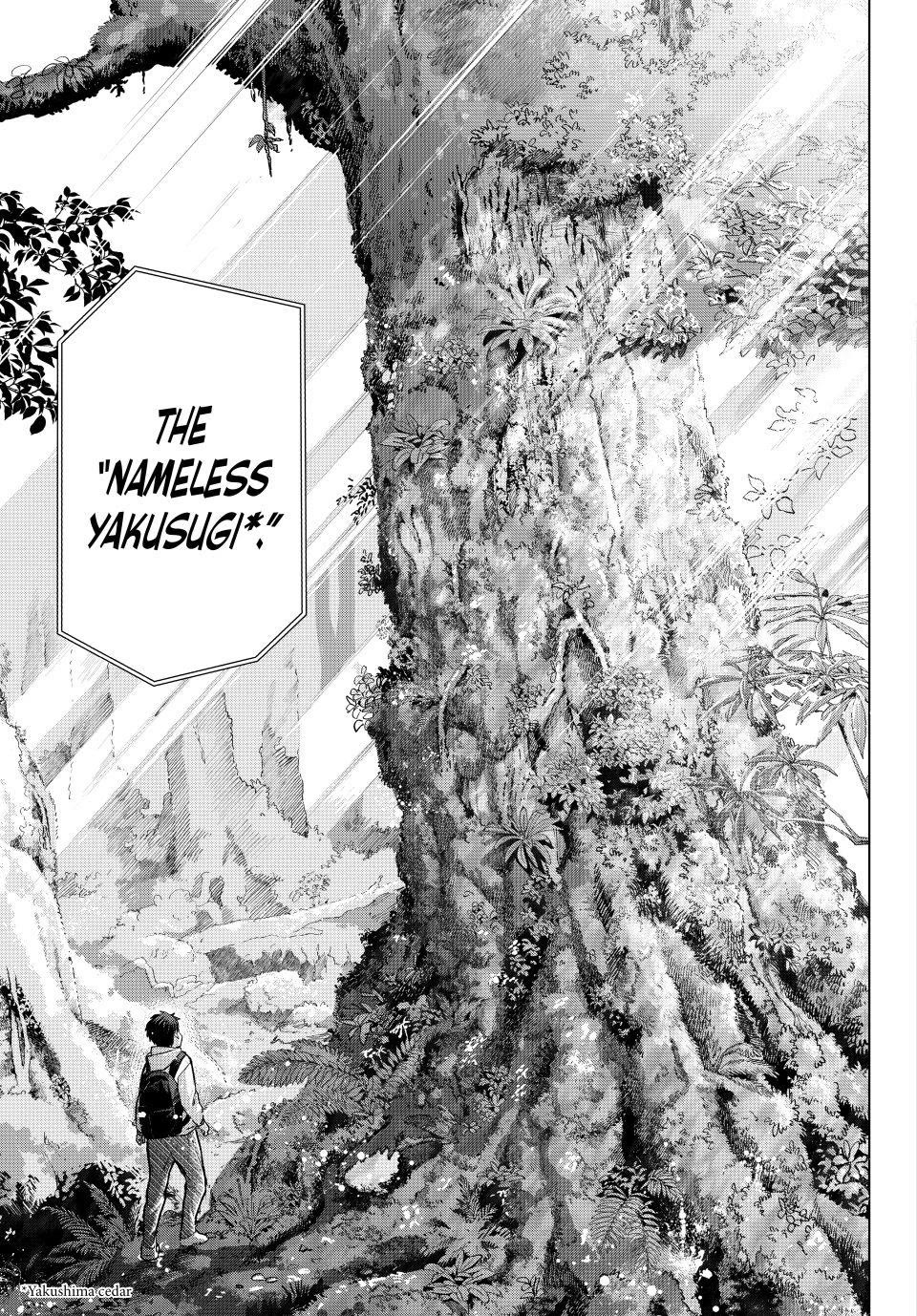 Kakkou no Iinazuke chapter 284 page 11