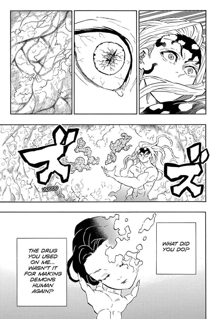 Kimetsu no Yaiba chapter 193 page 14
