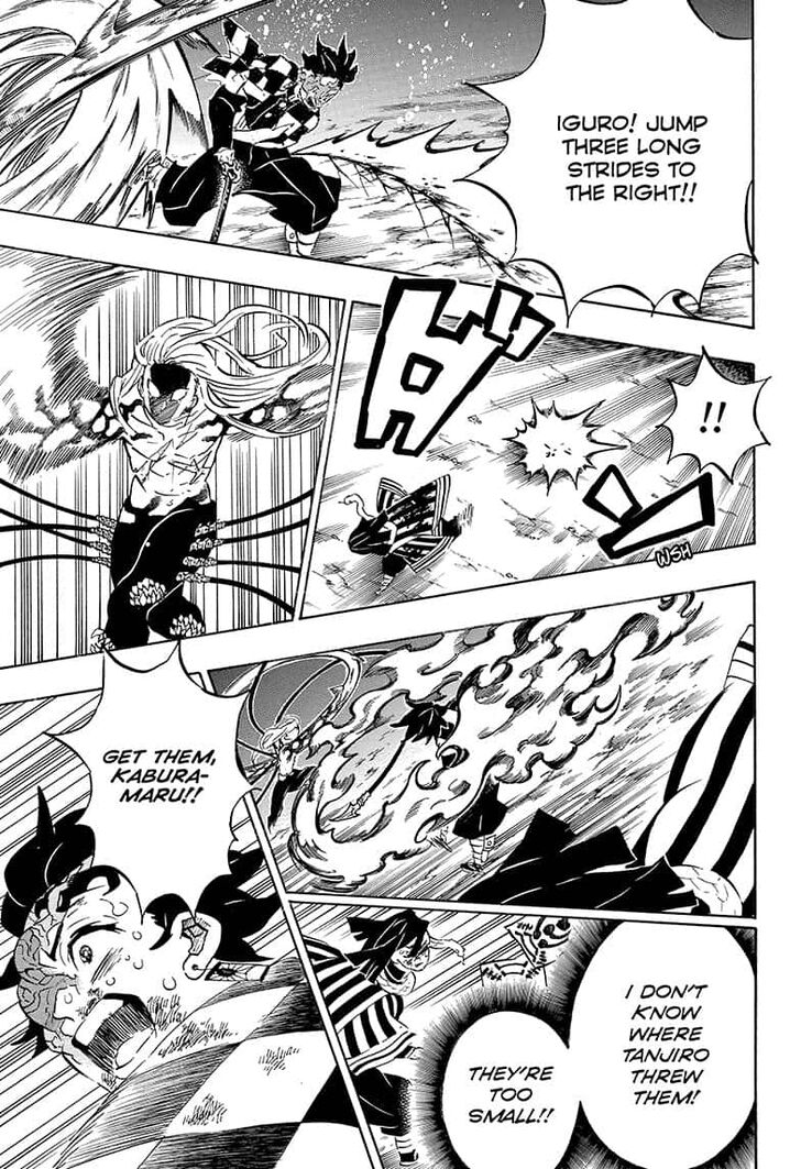 Kimetsu no Yaiba chapter 195 page 14