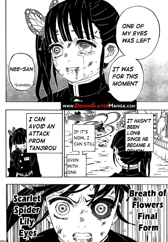 Kimetsu no Yaiba chapter 202 page 16