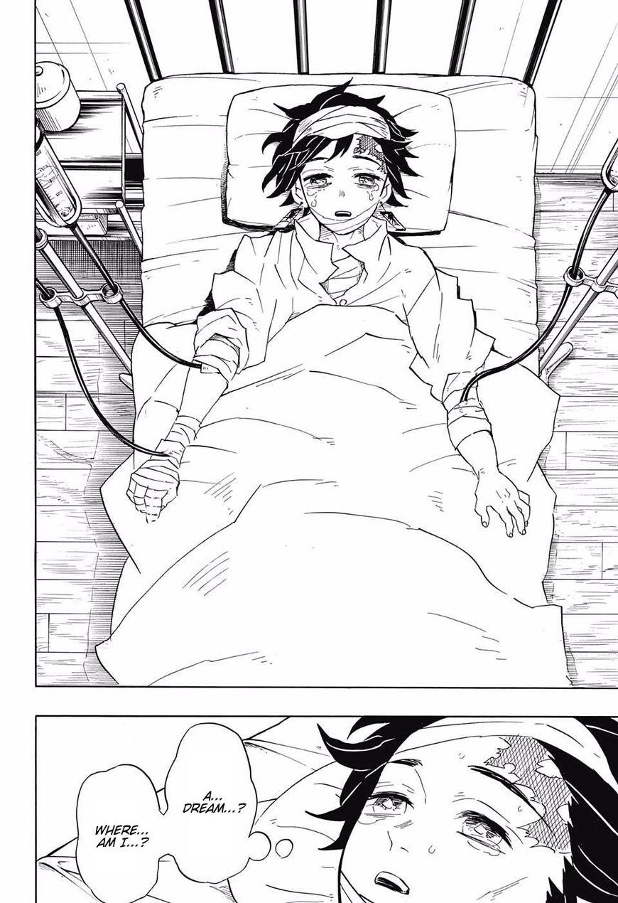 Kimetsu no Yaiba chapter 99 page 17