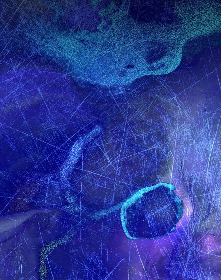 Lady Beast chapter 99 page 48