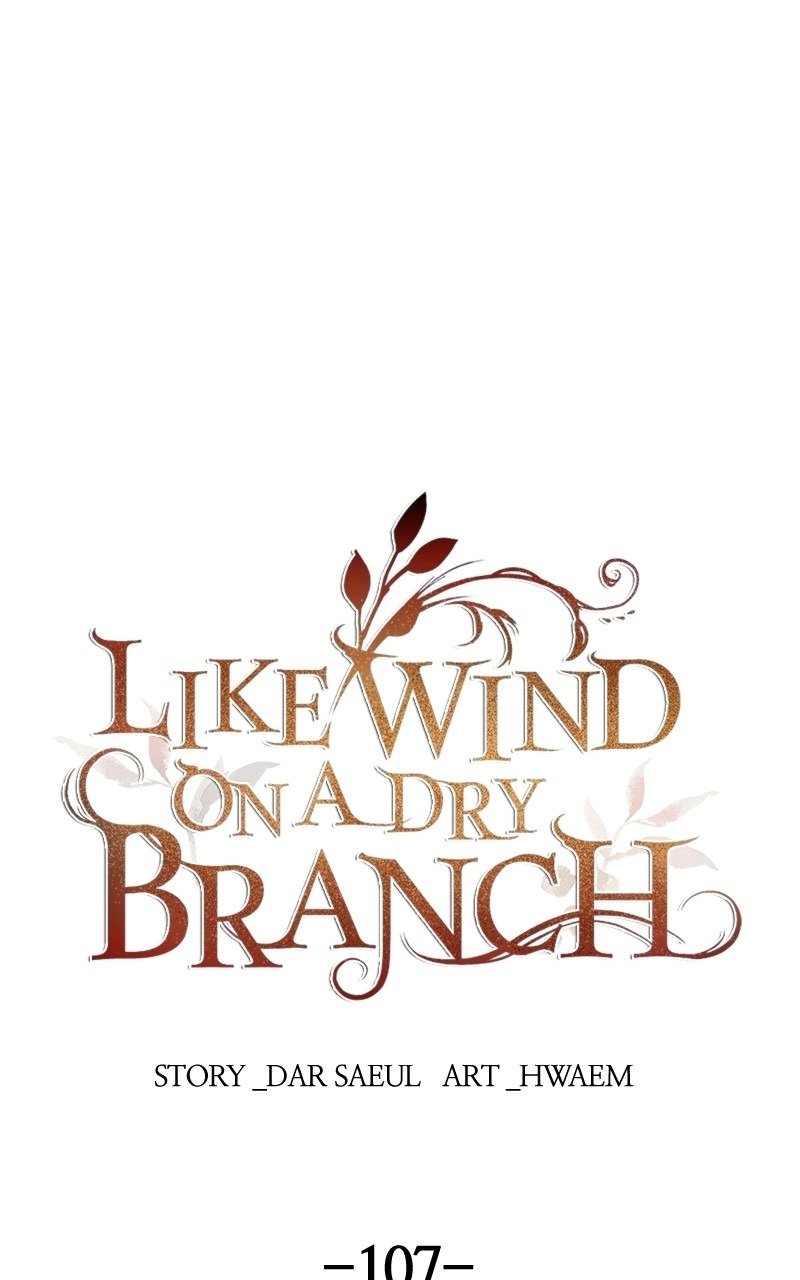 Like Wind on a Dry Branch chapter 107 page 1