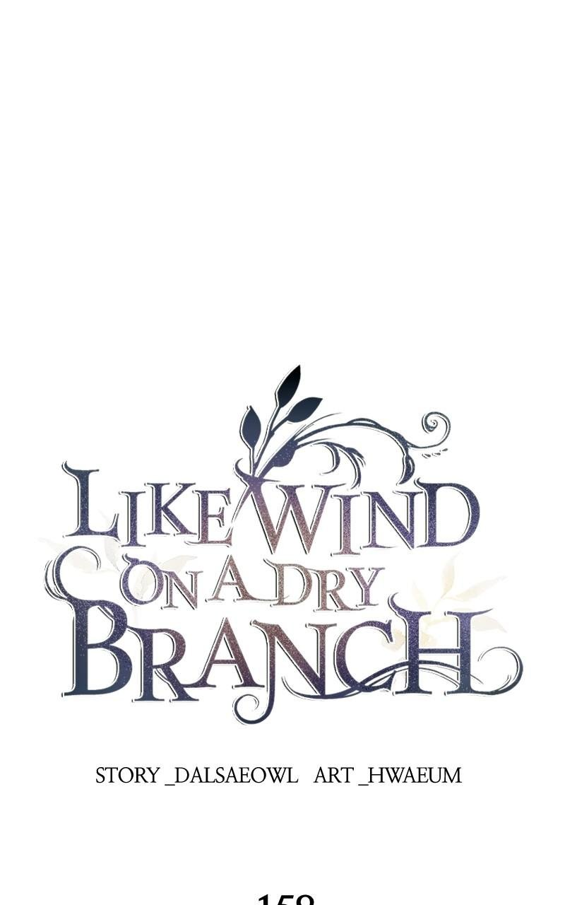 Like Wind on a Dry Branch chapter 158 page 1