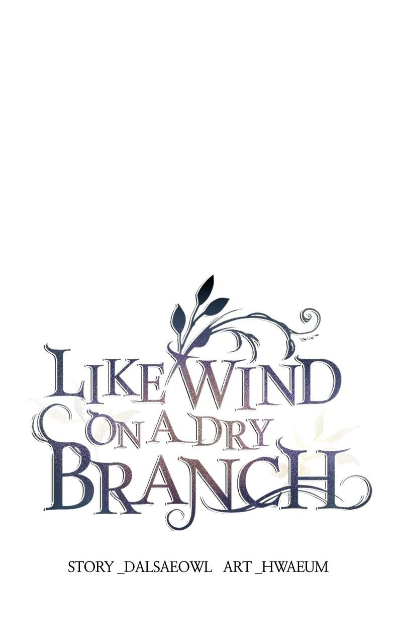 Like Wind on a Dry Branch chapter 163 page 11