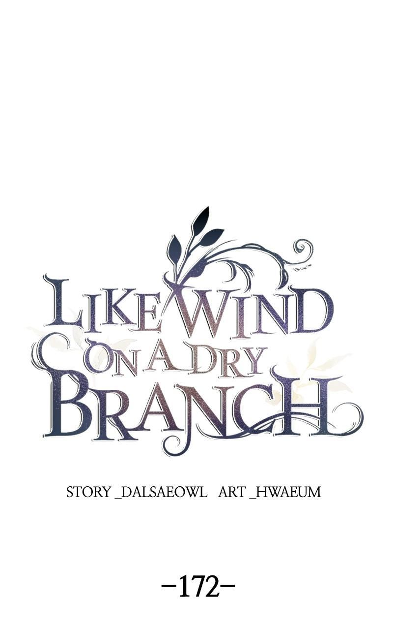 Like Wind on a Dry Branch chapter 172 page 37