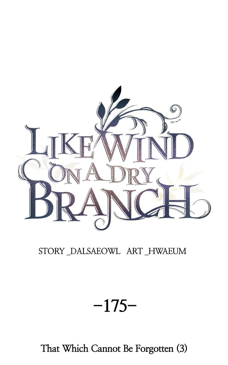 Like Wind on a Dry Branch chapter 175 page 1