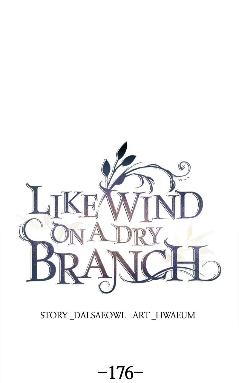 Like Wind on a Dry Branch chapter 176 page 1