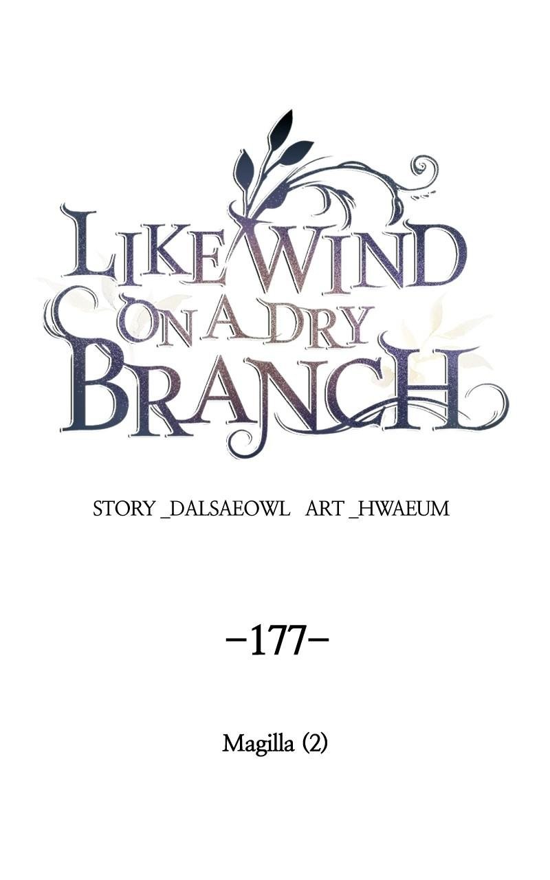 Like Wind on a Dry Branch chapter 177 page 114