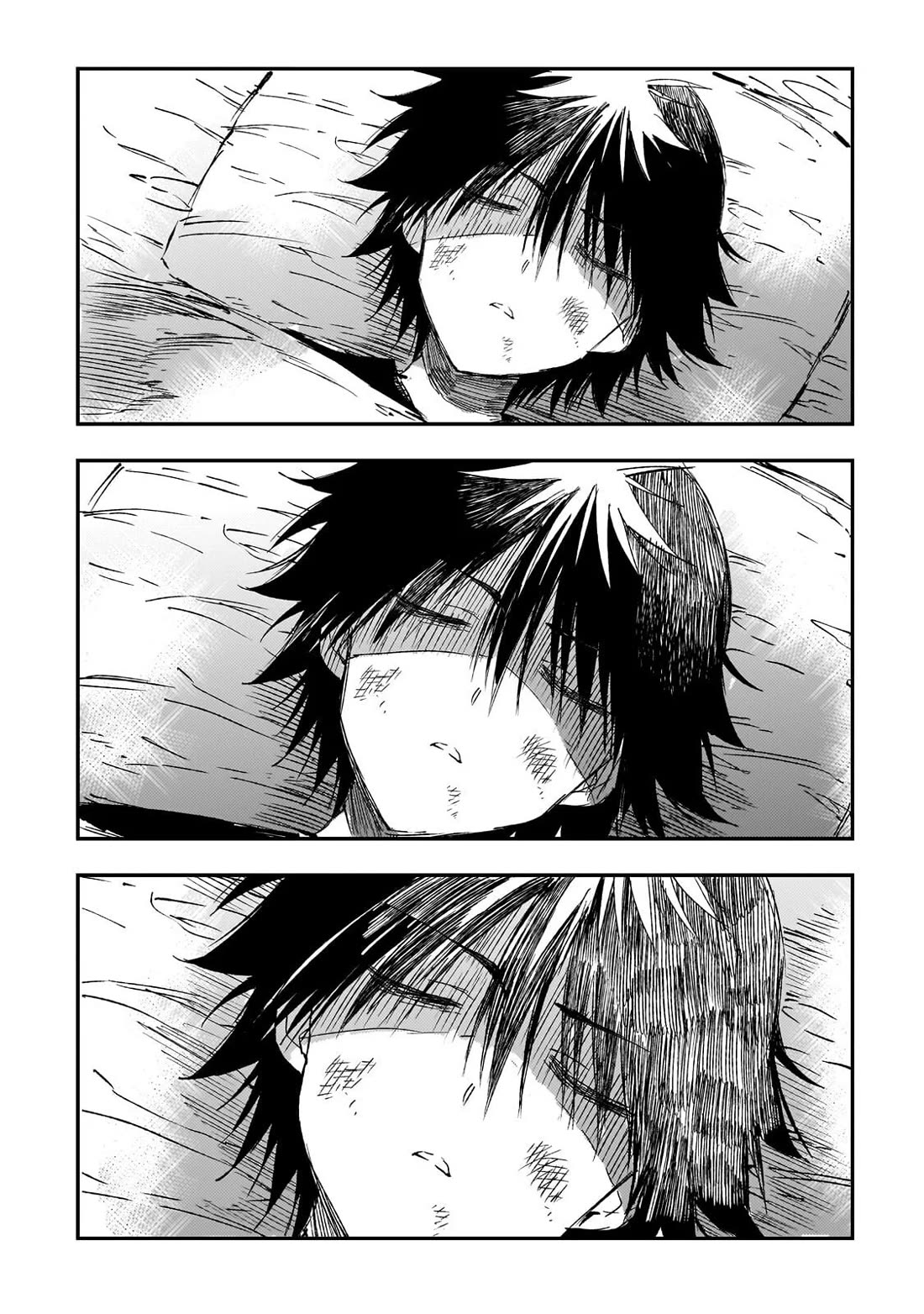 Lonely Attack on the Different World chapter 306 page 4