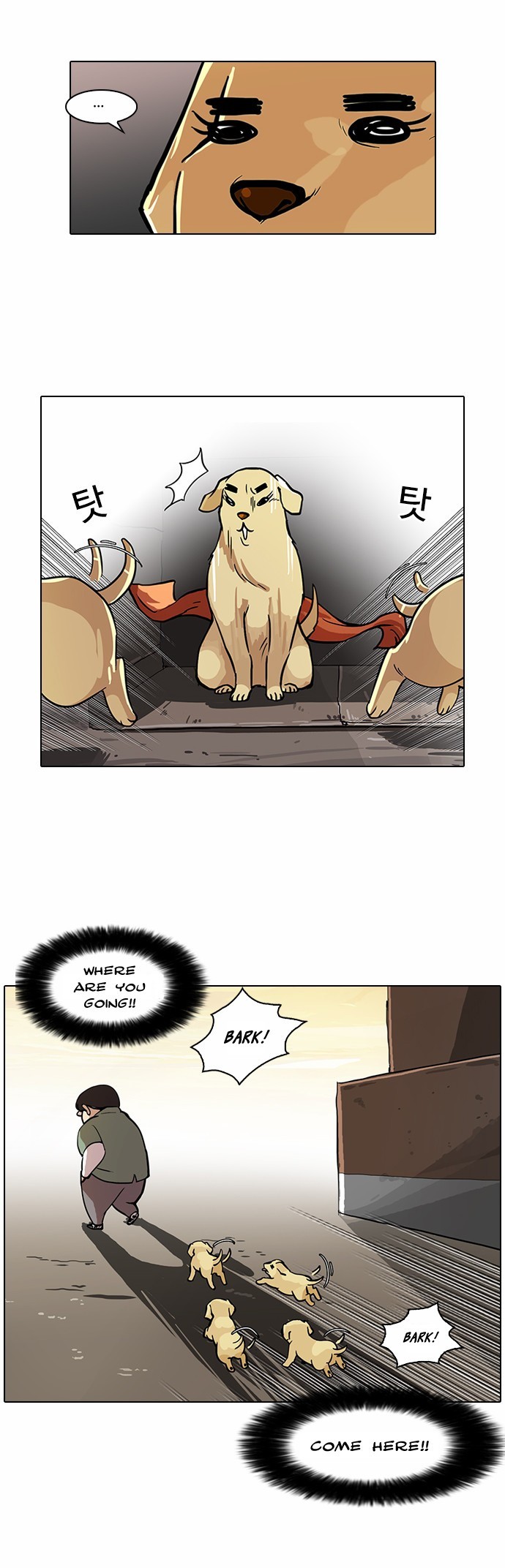 Lookism chapter 62 page 22