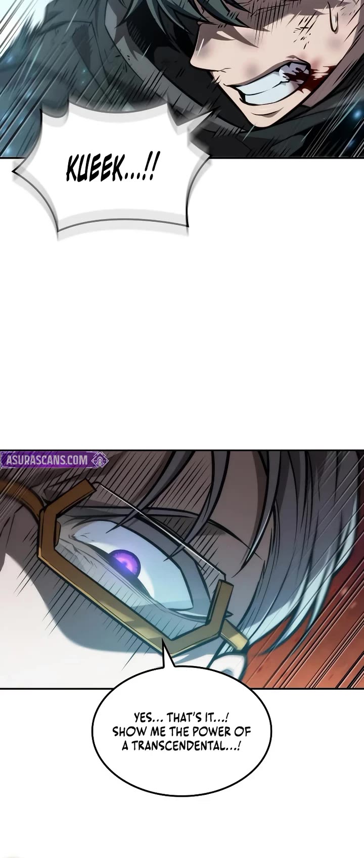 Maplestory: The Last Adventurer chapter 117 page 14