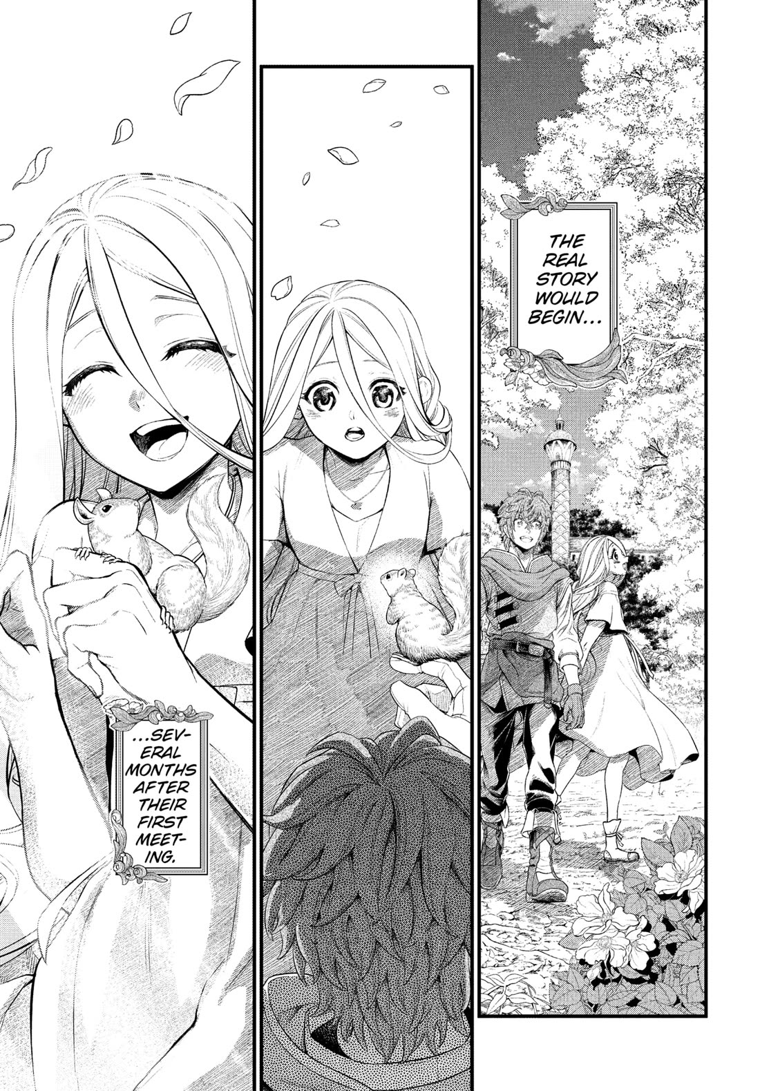 Märchen Crown chapter 1 page 41