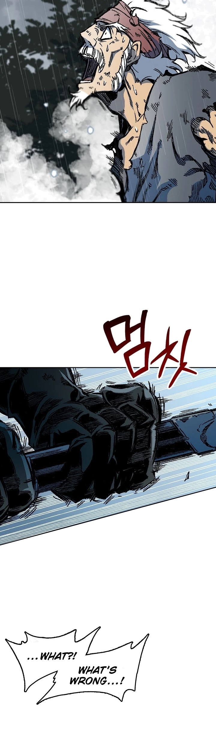 Memoir Of The King Of War chapter 88 page 4