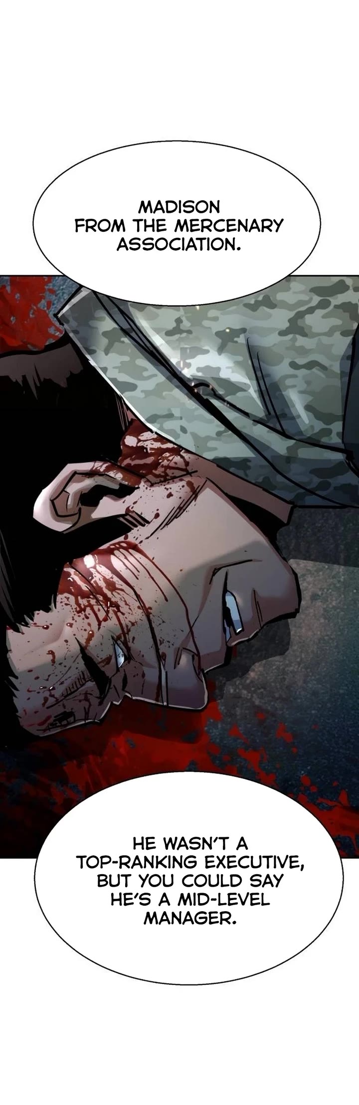 Mercenary Enrollment chapter 223 page 14