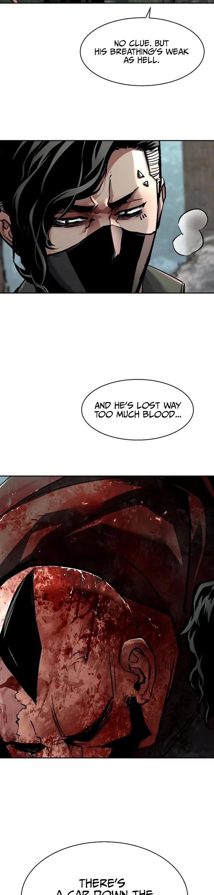 Mercenary Enrollment chapter 251 page 17