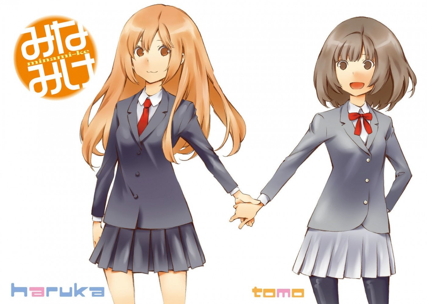 Minami-ke chapter 255 page 3