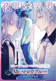 Cover of Mr. Blue